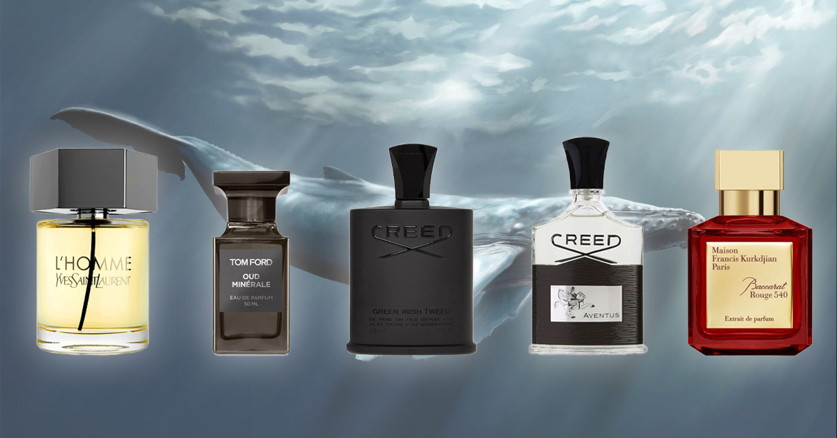 Mùi long diên hương được ví như báu vật đại dương liệu có thật sự đặc biệt 3 Nước hoa mùi long diên hương - Sunna.vn